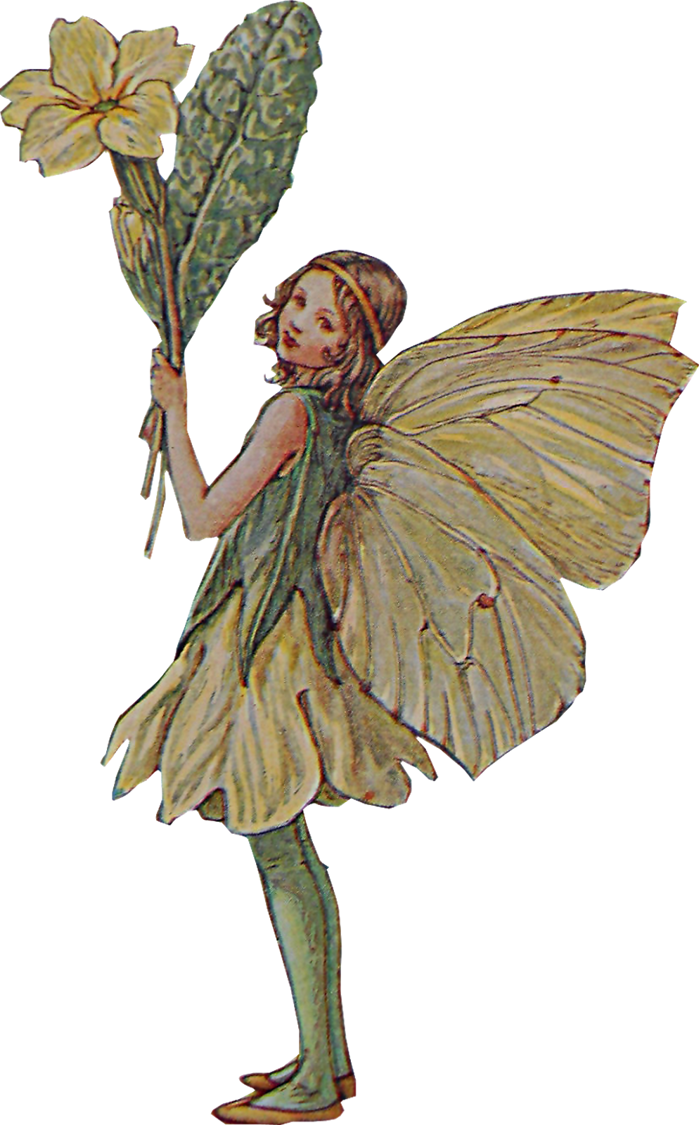 fairy holding flower
